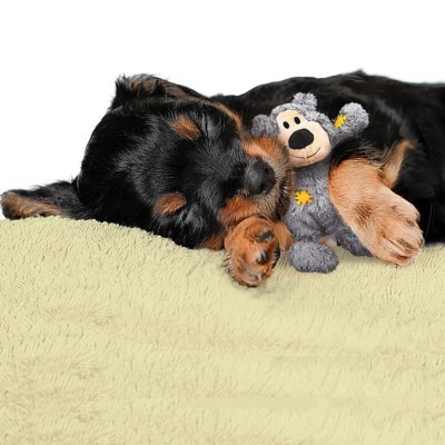 Filhote de cão a dormir com um brinquedo de peluche cinzento.