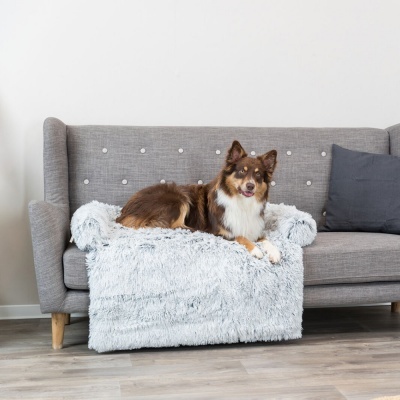 Sofá cinzento com manta felpuda e cão castanho e branco