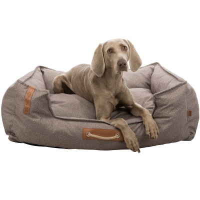 Cão cinzento deitado numa cama para cães cinzenta com detalhes em pele