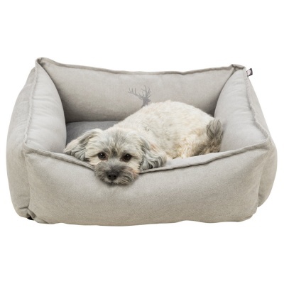 Cama para cão cinzenta com cão pequeno branco e cinzento