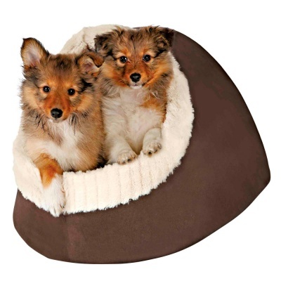 Cama castanha com interior branco felpudo e dois cães pequenos