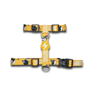 Peitoral para cão amarelo com padrões e texto BRUTUS