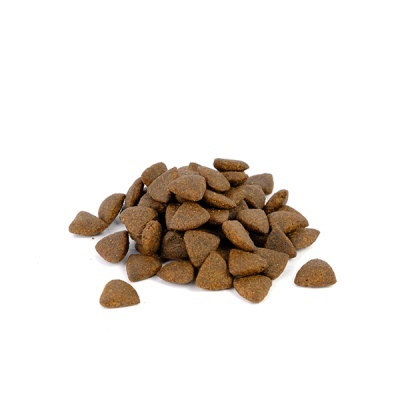 Croquetes de ração seca castanha escura em fundo branco