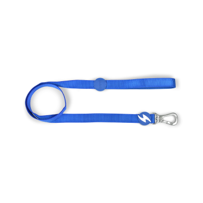 trela para cão azul em nylon com fecho metálico