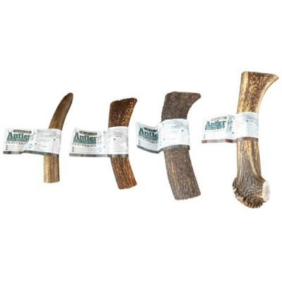 Quatro paus de chifres com etiquetas 'Antler' sobre fundo branco