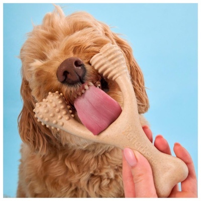 Cão castanho com brinquedo de osso bege texturizado