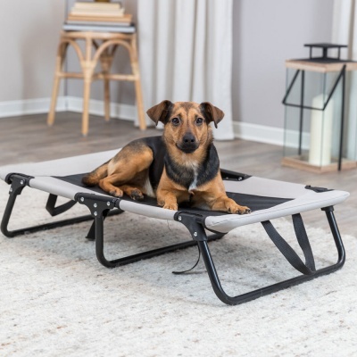 Cama para cão cinza com estrutura preta e cão deitado