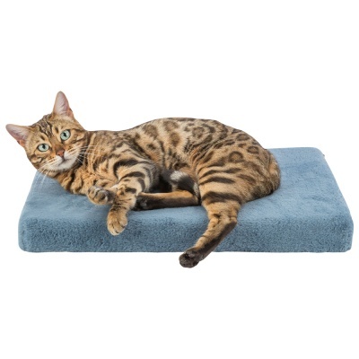 Gato castanho e preto a descansar numa almofada azul