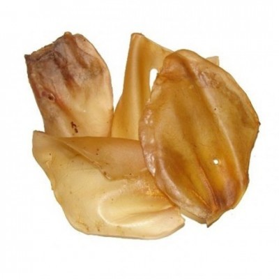 Pedaços secos de pele amarelada e castanha clara