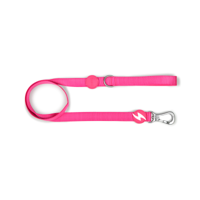 Trela para cão cor-de-rosa com argola metálica e mosquetão prateado