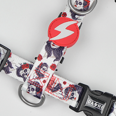 Coleira ajustável para cão com padrão de cachorros e fecho preto com texto 'DASH'