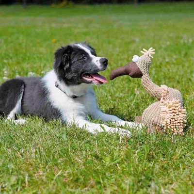 Cão preto e branco com brinquedo em forma de ave na relva