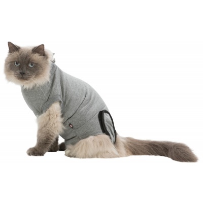 Gato com camisola cinzenta de tecido macio com abertura para a cauda, fundo branco