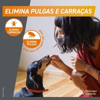 Mulher a alimentar cão com coleira laranja em ambiente interior, texto promocional sobre pulgas e carraças