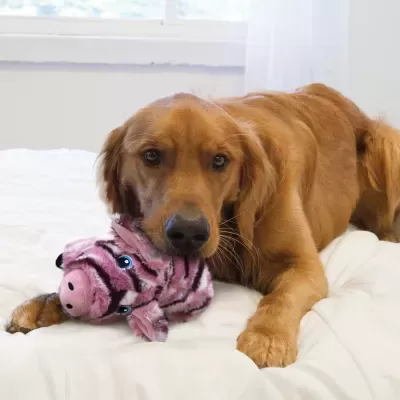 Cão castanho com brinquedo de peluche em cama branca