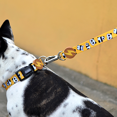 Coleira e trela para cão com padrão de pandas, preto e amarelo