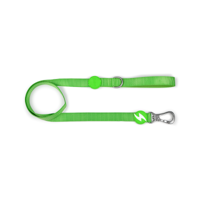 Trela para cão verde com gancho metálico e detalhes plásticos verdes