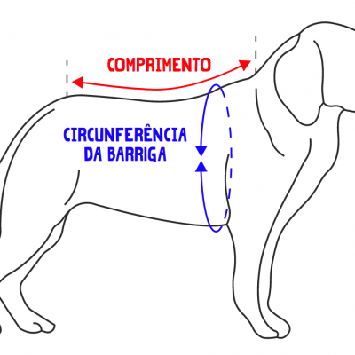 Desenho de cão a indicar como medir comprimento e circunferência da barriga