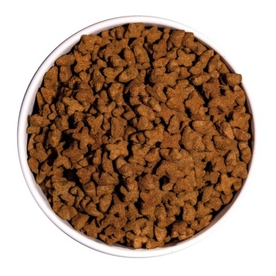 Tigela branca com ração seca castanha para animais