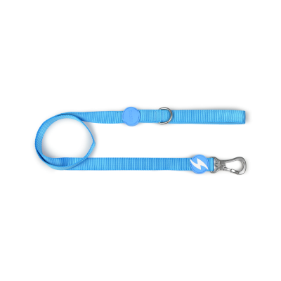 Trela para cão azul com mola metálica e detalhes azuis