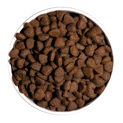 Tigela branca cheia de ração seca castanho escura para animais vista de cima