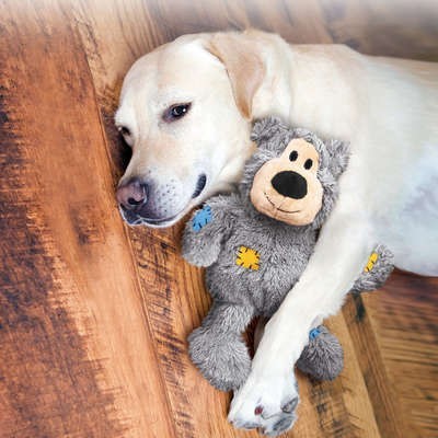 Cão branco abraçado a brinquedo de peluche cinza