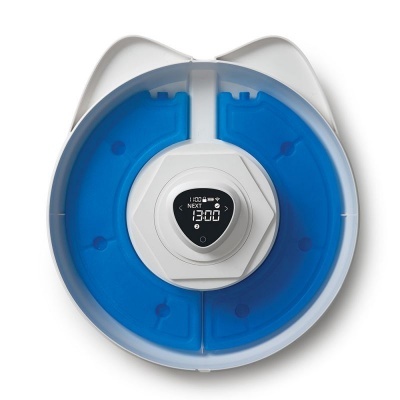 Comedouro automático azul e branco com relógio digital