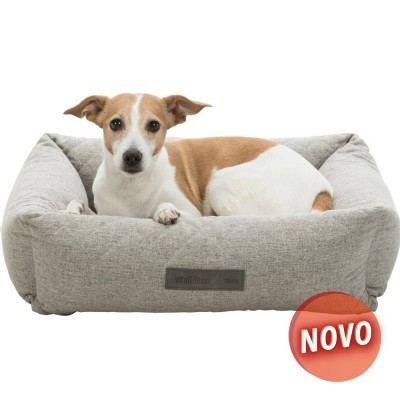 Cama para cão cinza claro com cão de pelagem branca e castanha deitado