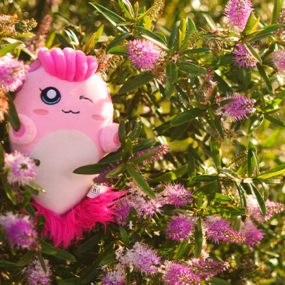 Pelúcia rosa e branca entre flores pequenas e rosas ao ar livre