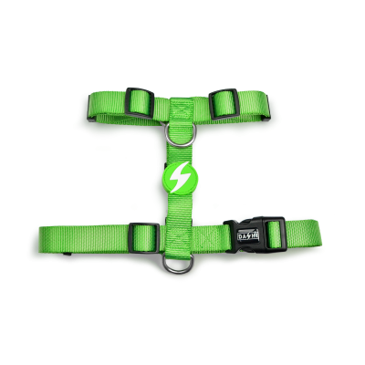 Peitoral verde para animal de estimação com fivelas pretas e etiqueta