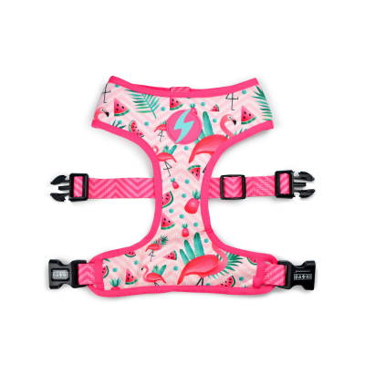 Peitoral para animais com padrão colorido de melancias, folhas e flamingos