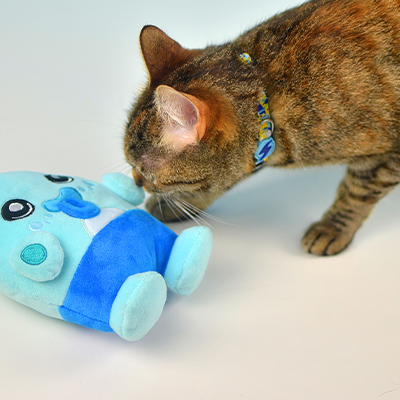 Gato tigrado cheirando brinquedo de pelúcia azul em superfície branca