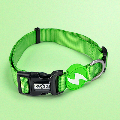 Coleira verde de nylon com fecho preto e placa com símbolo branco.