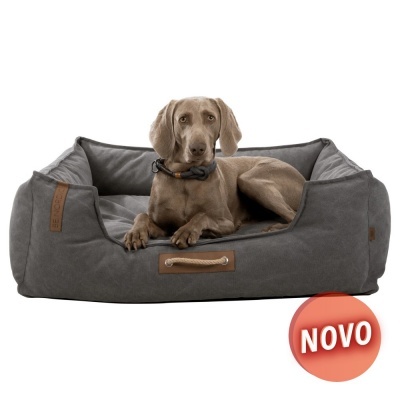 Cama para cão cinzenta escura com cão castanho deitado