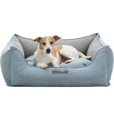 Cama para cachorro azul claro com interior cinza e cachorro branco e castanho deitado