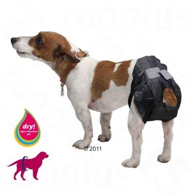 Cão com fralda preta diferencial e selo dry super absorvente gel