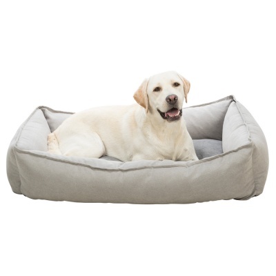 Cão Labrador deitado numa cama cinza para cães.