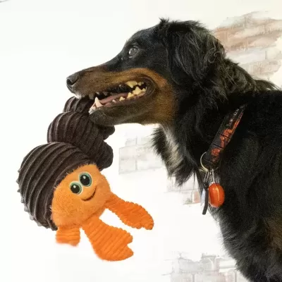 Cão preto a segurar brinquedo de pelúcia laranja com casulo castanho na boca