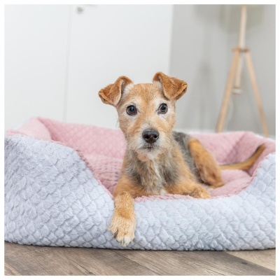 Cão deitado numa cama confortável cinzenta e rosa para animais