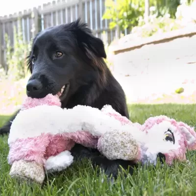 Cão preto com brinquedo de pelúcia rosa e branco no relvado
