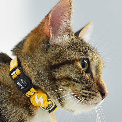 Gato vestido com colar amarelo com padrão preto e branco, com etiqueta preta num fundo cinza claro.