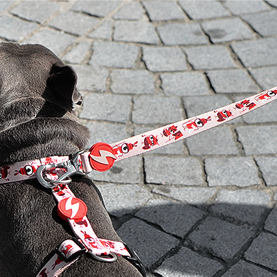 Coleira e trela para cão com padrão vermelho e preto, vista de trás, sobre pavimento de pedra