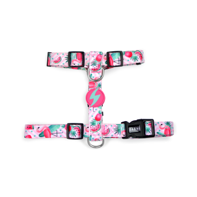 Peitoral para cão com padrão colorido de frutas tropicais e fecho preto