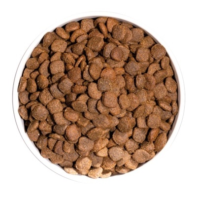 Taça branca cheia de ração seca para animais com croquetes castanhos e bege