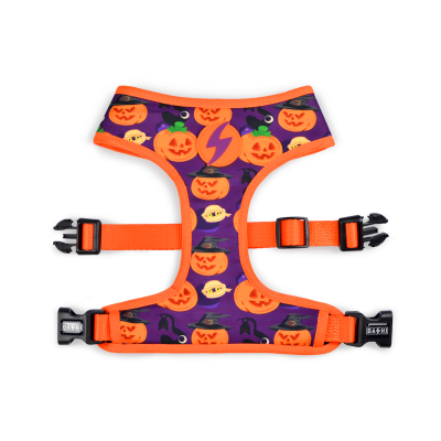 Peitoral de cão Halloween com estampa de abóboras e morcegos