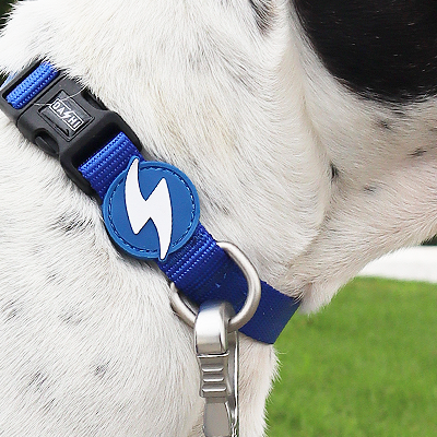 Colar azul para cão com símbolo branco no pescoço de cão branco com manchas pretas