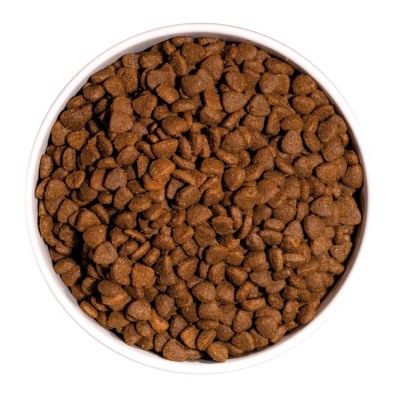 Taça branca cheia de ração seca castanha para animais vista de cima