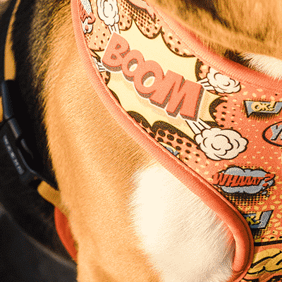 Peitoira colorida para cão com padrões de banda desenhada e fecho preto