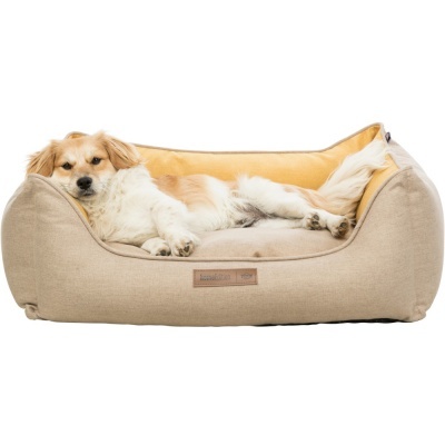 Cama para cães beige com cão deitado