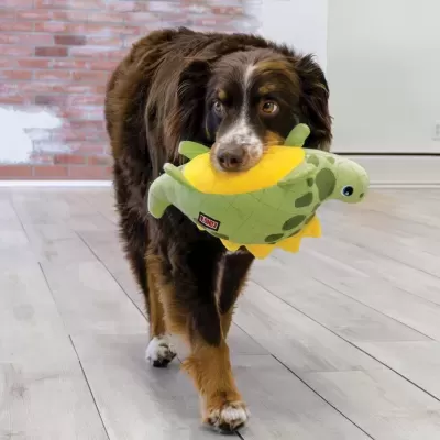 Cão segurando brinquedo tartaruga de pelúcia